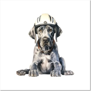 Great Dane Dog in Helmet Posters and Art